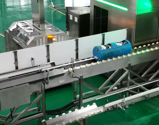 Ultra High Pressure Sterilization Equipment: The Future of Food Safety & Shelf Life