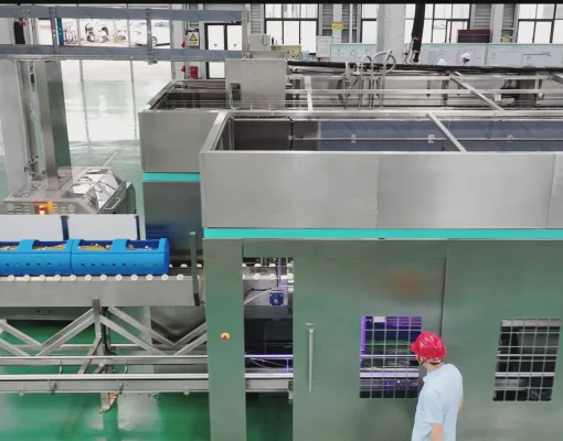 High Pressure Sterilization vs. Pasteurization: Key Differences
