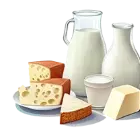 Dairy