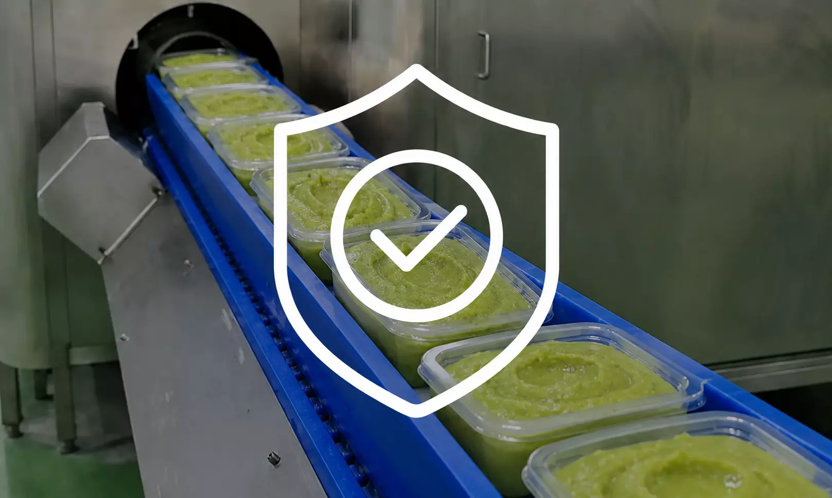 Safety & Microbial Control