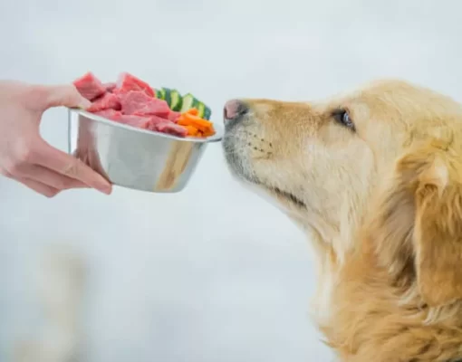 Using HPP Food Sterilization Equipment to Produce Cleaner-Label Raw Pet Foods