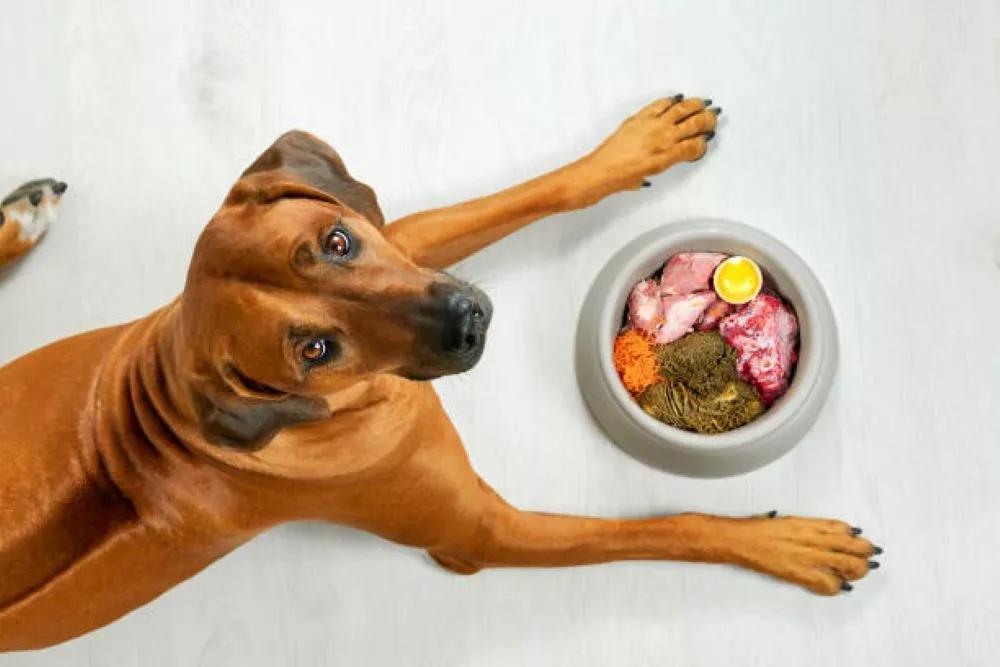 Cleaner-Label Raw Pet Foods-02